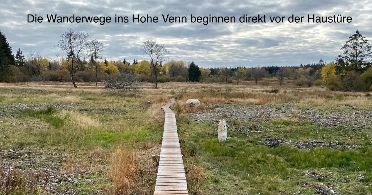 Hof Vierzehnender Im Hohen Venn - 70Qm Fachwerk-Studio - Grosses Wohn-Schlafzimmer Mit Dachterrasse Und Kaminofen - Separate Kueche - Perfekt Fuer Paare - Monschau - Eifel - Hunde Willkommen - Islandpferde Bagian luar foto