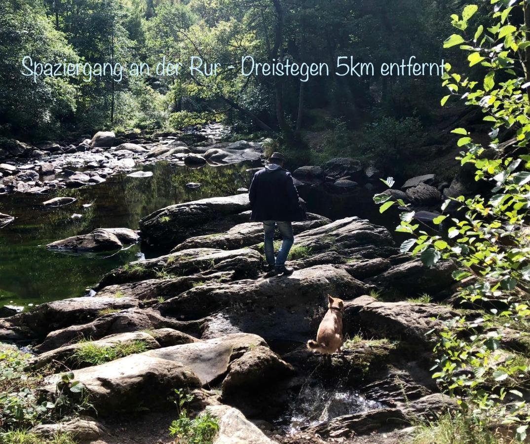 Hof Vierzehnender Im Hohen Venn - 70Qm Fachwerk-Studio - Grosses Wohn-Schlafzimmer Mit Dachterrasse Und Kaminofen - Separate Kueche - Perfekt Fuer Paare - Monschau - Eifel - Hunde Willkommen - Islandpferde Bagian luar foto