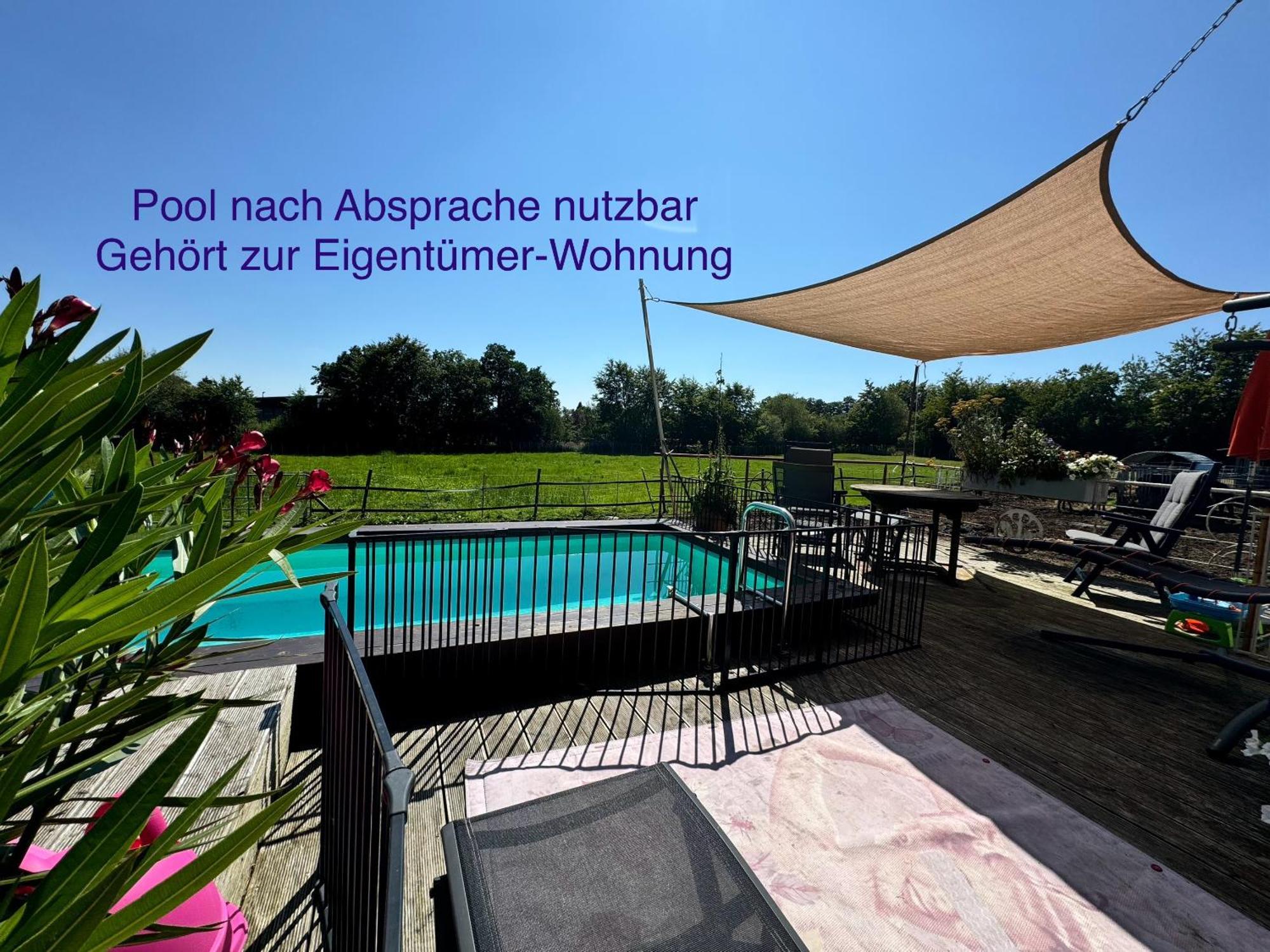 Hof Vierzehnender Im Hohen Venn - 70Qm Fachwerk-Studio - Grosses Wohn-Schlafzimmer Mit Dachterrasse Und Kaminofen - Separate Kueche - Perfekt Fuer Paare - Monschau - Eifel - Hunde Willkommen - Islandpferde Bagian luar foto