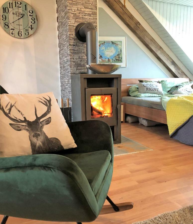 Hof Vierzehnender Im Hohen Venn - 70Qm Fachwerk-Studio - Grosses Wohn-Schlafzimmer Mit Dachterrasse Und Kaminofen - Separate Kueche - Perfekt Fuer Paare - Monschau - Eifel - Hunde Willkommen - Islandpferde Bagian luar foto