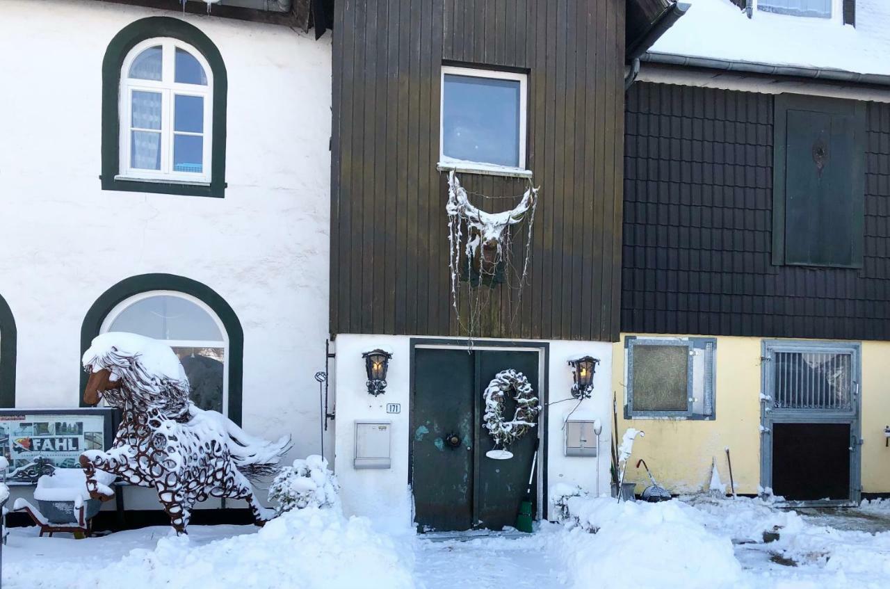 Hof Vierzehnender Im Hohen Venn - 70Qm Fachwerk-Studio - Grosses Wohn-Schlafzimmer Mit Dachterrasse Und Kaminofen - Separate Kueche - Perfekt Fuer Paare - Monschau - Eifel - Hunde Willkommen - Islandpferde Bagian luar foto