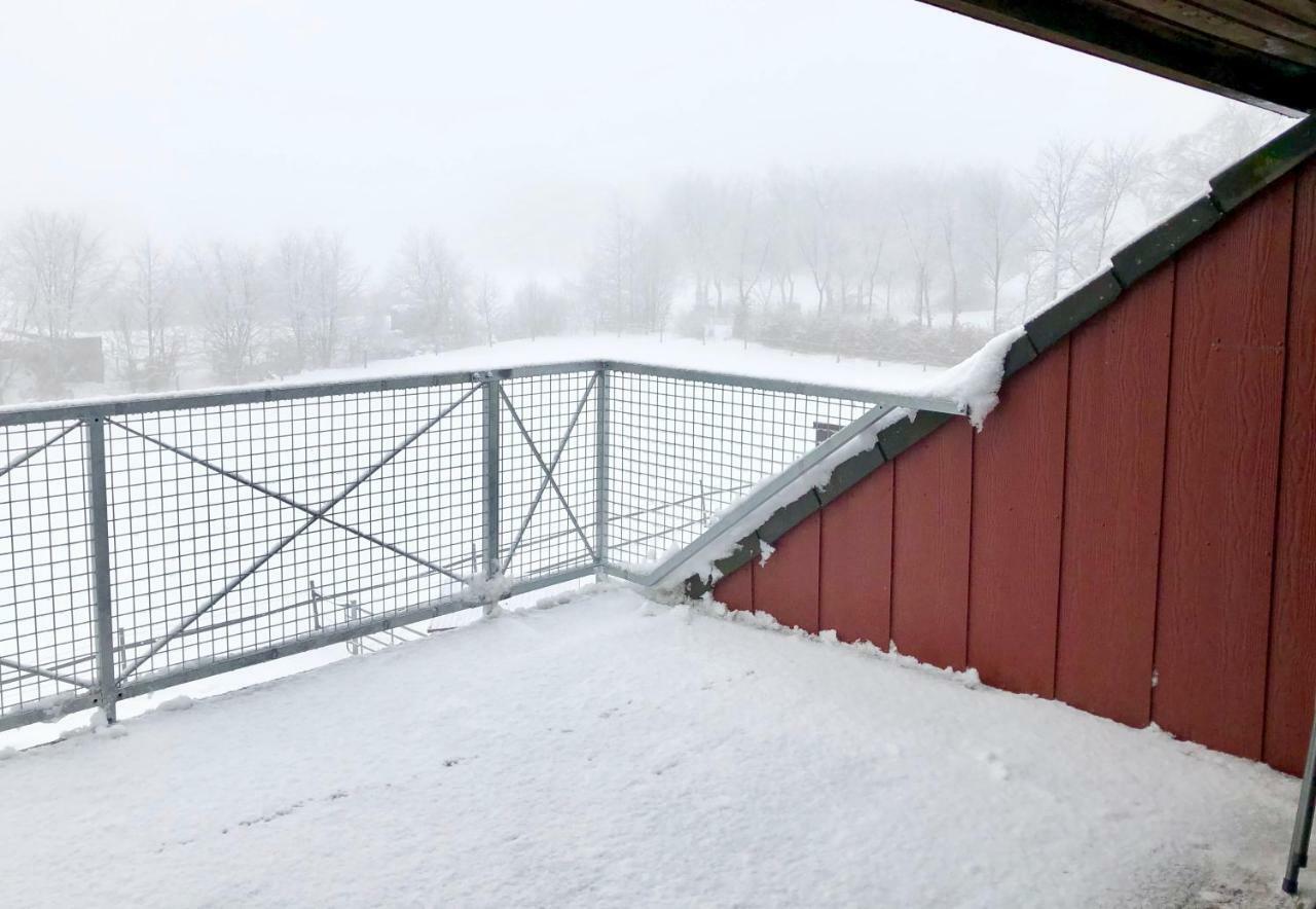 Hof Vierzehnender Im Hohen Venn - 70Qm Fachwerk-Studio - Grosses Wohn-Schlafzimmer Mit Dachterrasse Und Kaminofen - Separate Kueche - Perfekt Fuer Paare - Monschau - Eifel - Hunde Willkommen - Islandpferde Bagian luar foto